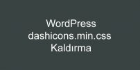 WordPress dashicons.min.css Kaldırma